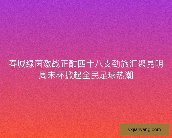 春城绿茵激战正酣四十八支劲旅汇聚昆明周末杯掀起全民足球热潮