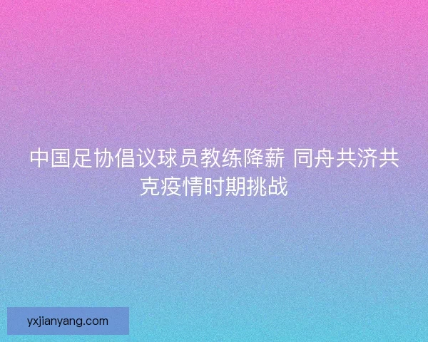 中国足协倡议球员教练降薪 同舟共济共克疫情时期挑战