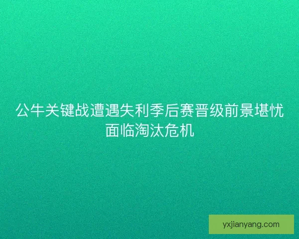 公牛关键战遭遇失利季后赛晋级前景堪忧面临淘汰危机
